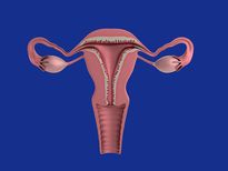 ഗര്‍ഭധാരണം എളുപ്പത്തിലാക്കും യൂട്രസിന്റെ ആരോഗ്യം