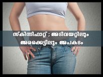 Skinny Fat : സ്‌കിന്നി ഫാറ്റ്; അടിവയറ്റിലെ കൊഴുപ്പിലാണ് അപകടം മുഴുവന്‍