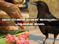 പിതൃപക്ഷ ദിനത്തില്‍ കാക്കക്ക് ശ്രാദ്ധമൂട്ടണം; മോക്ഷപ്രാപ്തി പിതൃക്കള്‍ക്ക്