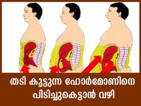 തടി കൂട്ടുന്ന ഹോര്‍മോണിനെ പിടിച്ചുകെട്ടാന്‍ വഴിയുണ്ട്