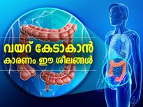 ഗ്യാസും വയറുവേദനയും വെറുതേയല്ല; വയറ് കേടാകാന്‍ കാരണം ഈ ശീലങ്ങള്‍