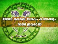 ജോലിയിലെ ഉയര്‍ച്ചയില്‍ ജീവിതം മാറും രാശി; ഈ ജോലിയാണ് ഏറ്റവും അനുയോജ്യം