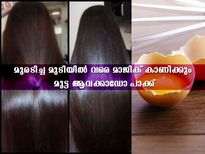 ഏത് കേടുബാധിച്ച മുടിക്കും ഇനി കരുത്ത് നല്‍കാന്‍ മുട്ട സൂത്രം