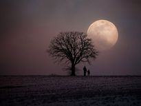 നവഗ്രഹ ദോഷം പാടേ തീര്‍ക്കും പരിഹാരം; ദോഷം ആര്‍ക്ക് എപ്പോള്‍?