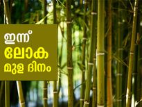 പരിസ്ഥിതിയുടെ സംരക്ഷകന്‍; ഇന്ന് ലോക മുള ദിനം