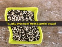 ഉഴുന്ന് പരിപ്പിലുള്ള മികച്ച ഒറ്റമൂലിയിലുണ്ട് ആരോഗ്യം