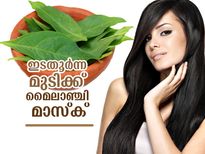 മൈലാഞ്ചി മാസ്‌ക് ഇങ്ങനെയെങ്കില്‍ ഇടതൂര്‍ന്ന മുടി ഉറപ്പ്