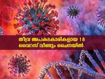 അതീവ അപകടകാരികളായ 18 തരം വൈറസിനെ ചൈനയില്‍ കണ്ടെത്തി