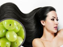 താരന്‍, അകാലനര, മുടികൊഴിച്ചില്‍; എന്തിനും പരിഹാരമാണ് ഈ ഹെയര്‍ പായ്ക്ക്