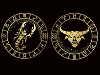 ശുക്രന്റെ വക്രഗതി സഞ്ചാരം; ഈ നാല് രാശിക്കാര്‍ക്ക് നല്ലകാലം