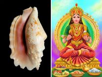 ചൊവ്വാദോഷമകലും മറ്റ് ഗ്രഹങ്ങള്‍ ശക്തമാകും; ശംഖ് ഉപയോഗിച്ച് ഇത് ചെയ്യൂ