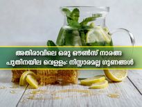 നാരങ്ങ വെള്ളത്തില്‍ പുതിന: വെറും വയറ്റില്‍  അതിരാവിലെ ഒരു ഔണ്‍സ്‌