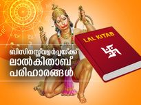 ബിസിനസ് വളരും സമ്പത്ത് കൈവരും; ലാല്‍ കിതാബ് പരിഹാരങ്ങള്‍