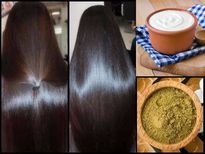 മുടിയുടെ അറ്റം മുതല്‍ വേര് വരെ സ്‌ട്രോംങ് ആക്കാന്‍ ചെമ്പരത്തി പ്രയോഗം