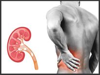 വേനലില്‍ മൂത്രത്തില്‍ കല്ല് വരാന്‍ സാധ്യത ഇരട്ടി; ഈ കാര്യം ശ്രദ്ധിച്ചാല്‍ രക്ഷ