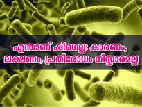 ഷിഗെല്ല നിസ്സാരമായി കാണല്ലേ: ഗുരുതര അപകടം 