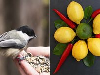 വാസ്തുപ്രകാരം ഇവ ചെയ്താല്‍ ആത്മവിശ്വാസം വളരും ജീവിത വിജയവും