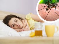 മഴക്കാലത്ത് ഡെങ്കിപ്പനിയെ കരുതിയിരിക്കണം; പ്രതിരോധ നടപടികള്‍ ഇങ്ങനെ വേണം