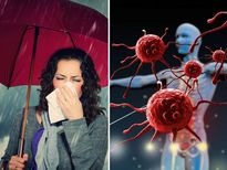 മഴക്കാലം രോഗങ്ങള്‍ ഉയരുന്ന കാലം; രോഗപ്രതിരോധശേഷി കൂട്ടാന്‍ ചെയ്യേണ്ടത്