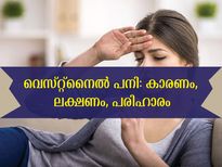 വെസ്റ്റ്‌നൈല്‍ പനി ബാധിച്ച് മരിച്ചു: കരുതിയിരിക്കുക രോഗവും ലക്ഷണങ്ങളും