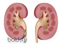 ശരീരത്തിലെ പൊട്ടാസ്യത്തിന്റെ അളവ് കൂടുതലെങ്കില്‍ അപകടമാണ്