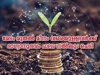 രാശിപ്രകാരം ഭാഗ്യാനുഭവത്തിനായി നിങ്ങള്‍ പരിപാലിക്കേണ്ട ചെടി 