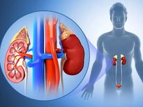 ശരീരത്തെ തകരാറിലാക്കുന്ന ക്രോണിക് കിഡ്‌നി ഡിസീസ്; ഈ ലക്ഷണങ്ങള്‍ ശ്രദ്ധിക്കൂ