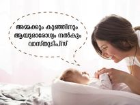  കുഞ്ഞിനും അമ്മക്കും ആയുരാരോഗ്യസൗഖ്യത്തിന് വാസ്തു ഇപ്രകാരം