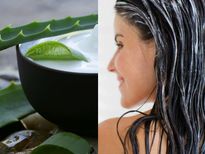 വരണ്ട മുടിക്ക് പരിഹാരം നല്‍കും ഈ പ്രകൃതിദത്ത കണ്ടീഷണറുകള്‍