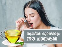ആസ്ത്മ ലക്ഷണം പരിഹരിക്കും ഈ ഹെര്‍ബല്‍ ചായകള്‍