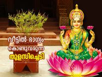 വീട്ടില്‍ ഭാഗ്യം കൊണ്ടുവരുന്ന തുളസിച്ചെടി; ജ്യോതിഷപ്രാധാന്യം നിരവധി