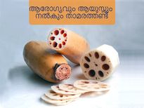 താമരത്തണ്ടില്‍ ഒതുങ്ങാത്ത രോഗങ്ങളില്ല: തയ്യാറാക്കാം ഇങ്ങനെ
