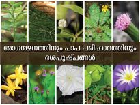 കര്‍ക്കിടക മാസം ദശപുഷ്പം വീട്ടില്‍ ഐശ്വര്യം നിറക്കും