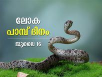 ലോക പാമ്പ് ദിനം; പാമ്പുകളെക്കുറിച്ച് നിങ്ങള്‍ അറിഞ്ഞിരിക്കേണ്ട രസകരമായ കാര്യങ്ങള്‍