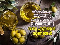 സ്തനാര്‍ബുദം തടയും പ്രതിരോധശേഷി കൂട്ടും; എണ്ണിയാല്‍ തീരില്ല സസ്യ എണ്ണയുടെ ഗുണം
