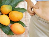 തടിവെക്കും, പ്രമേഹം കൂട്ടും; മാമ്പഴവും ചില മിഥ്യാധാരണകളും 