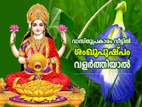 വീട്ടില്‍ ഈ ദിക്കില്‍ ശംഖുപുഷ്പം നട്ടാല്‍ സമ്പത്തും ഐശ്വര്യവും കാലാകാലം കൂടെ