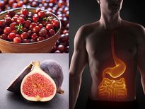 ഉദരപ്രശ്നങ്ങളും ദഹനപ്രശ്നങ്ങളും അകറ്റി ശരീരം കാക്കും ഈ പഴങ്ങള്‍