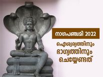 ദോഷങ്ങള്‍ നീങ്ങി ഐശ്വര്യത്തിന് നാഗപഞ്ചമിയില്‍ ഇക്കാര്യങ്ങള്‍ ചെയ്യൂ  