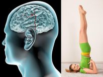 മനസ് നിയന്ത്രിക്കാം, ശ്രദ്ധയും കൂട്ടാം; ഈ യോഗാമുറകള്‍ അഭ്യസിച്ചാലുള്ള നേട്ടം