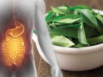 ദിവസവും കറിവേപ്പില ചായ കുടിച്ചാല്‍ ശരീരത്തിലുണ്ടാകുന്ന മാറ്റങ്ങള്‍