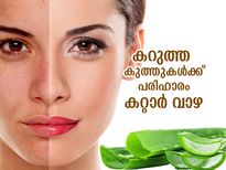 മുഖത്തെ കറുത്ത കുത്തുകള്‍ പെട്ടെന്ന് നീക്കാം; കറ്റാര്‍ വാഴ ഉപയോഗം ഇങ്ങനെയെങ്കില്‍