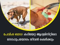 പേവിഷ ബാധ നിസ്സാരമല്ല: ചെറിയ പോറല്‍ പോലും അതീവ ഗുരുതരം