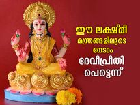 ലക്ഷ്മീദേവി വിളിപ്പുറത്തെത്തും; ദീപാവലിയില്‍ രാശിപ്രകാരം ഈ മന്ത്രങ്ങള്‍ ചൊല്ലൂ