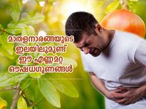ഈ അസുഖങ്ങള്‍ക്ക് പ്രതിവിധിയാണ് മാതളനാരങ്ങ ഇല; ഉപയോഗിക്കേണ്ടത് ഇങ്ങനെ