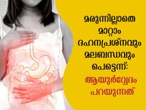 ദഹനപ്രശ്‌നവും മലബന്ധവും നാം വരുത്തിവെക്കുന്നത്: പരിഹാരം ആയുര്‍വ്വേദത്തില്‍