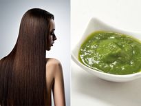 മുടിവേരുകള്‍ ശക്തിപ്പെടുത്തി മുടി കൊഴിച്ചില്‍ തടയാന്‍ ഈ കൂട്ട്‌; ഉപയോഗം ഇങ്ങനെ