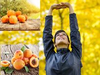  ആയുരാരോഗ്യത്തിനും ആയുസ്സിനും ഈ പഴങ്ങള്‍ ധാരാളം