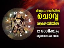 Mangal Vakri 2022 : മിഥുനം രാശിയില്‍ ചൊവ്വ വക്രഗതിയില്‍; 12 രാശിക്കും ഗുണദോഷ ഫലങ്ങള്‍