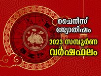 ചൈനീസ് ജ്യോതിഷം 2023: കരിയര്‍, സാമ്പത്തികം, പ്രണയം; സമ്പൂര്‍ണ വര്‍ഷഫലം 